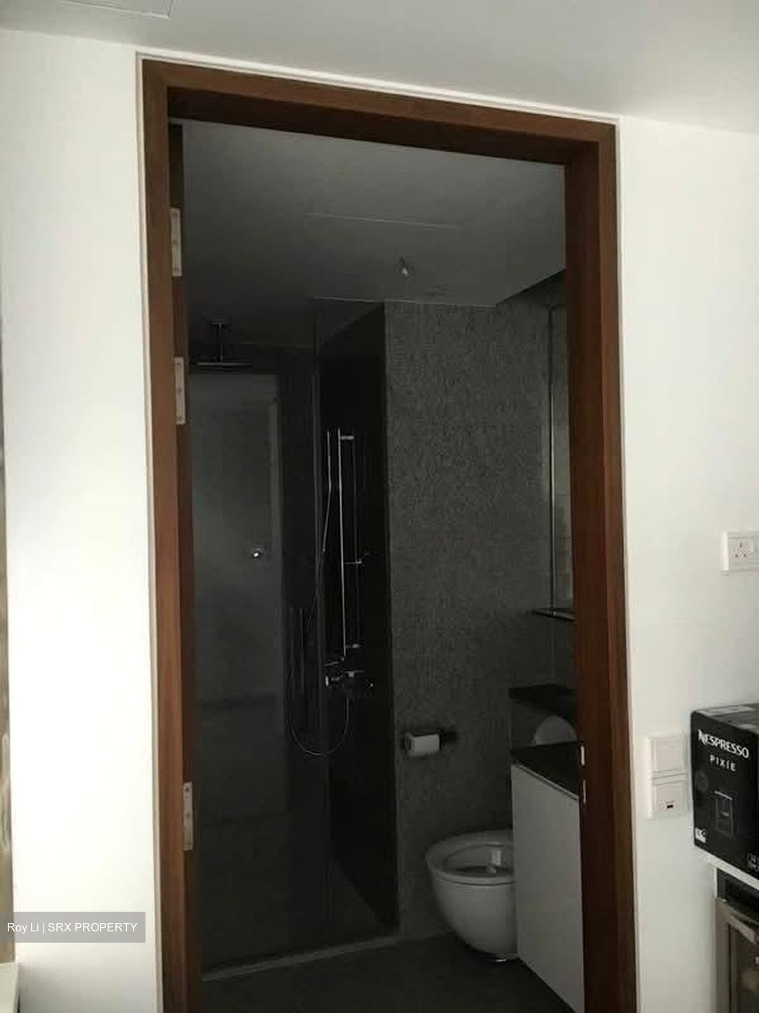 PS100 (D2), Condominium #530043501